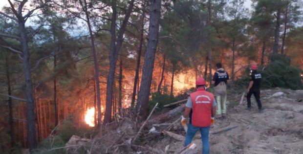 Belediye Ekiplerinin Orman Yangınları İle Mücadelesi Sürüyor