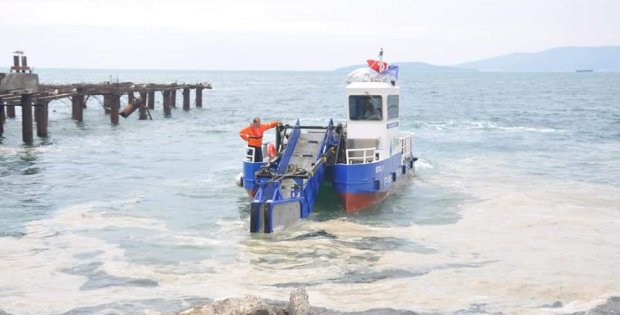 Kartal Sahilleri Deniz Salyasından Temizleniyor